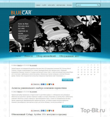 Автонаполняемый автомобильный сайт