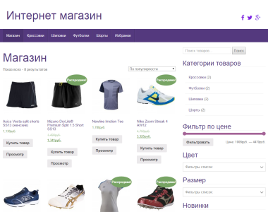 Купить интернет-магазин