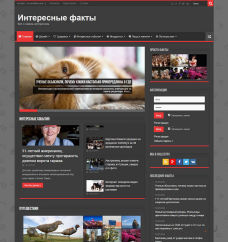 Автонаполняемый портал про интересные факты