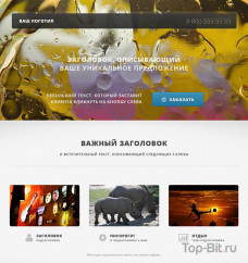 Landing Page по продаже товара или услуги