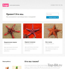 Landing Page по предоставлению услуг